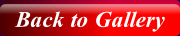 wp6a203b97_0f.jpg