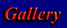 wpabc233c8_0f.jpg