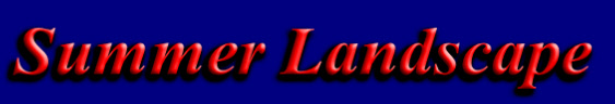 wpbb2fa69b_0f.jpg